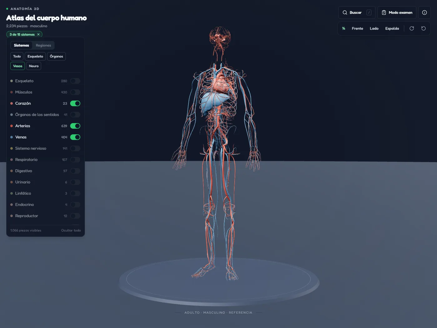 Atlas de anatomía 3D en el navegador: panel de capas por sistema, buscador y cuerpo humano con corazón, arterias y venas